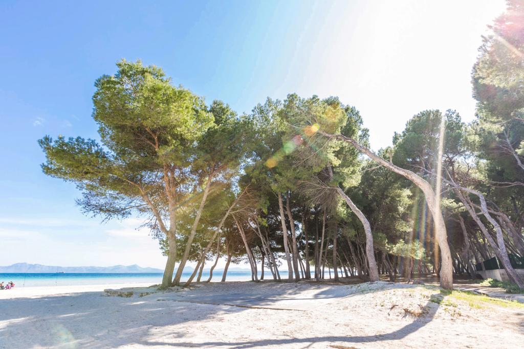 Pinya Villa Port de Alcudia  Exteriör bild